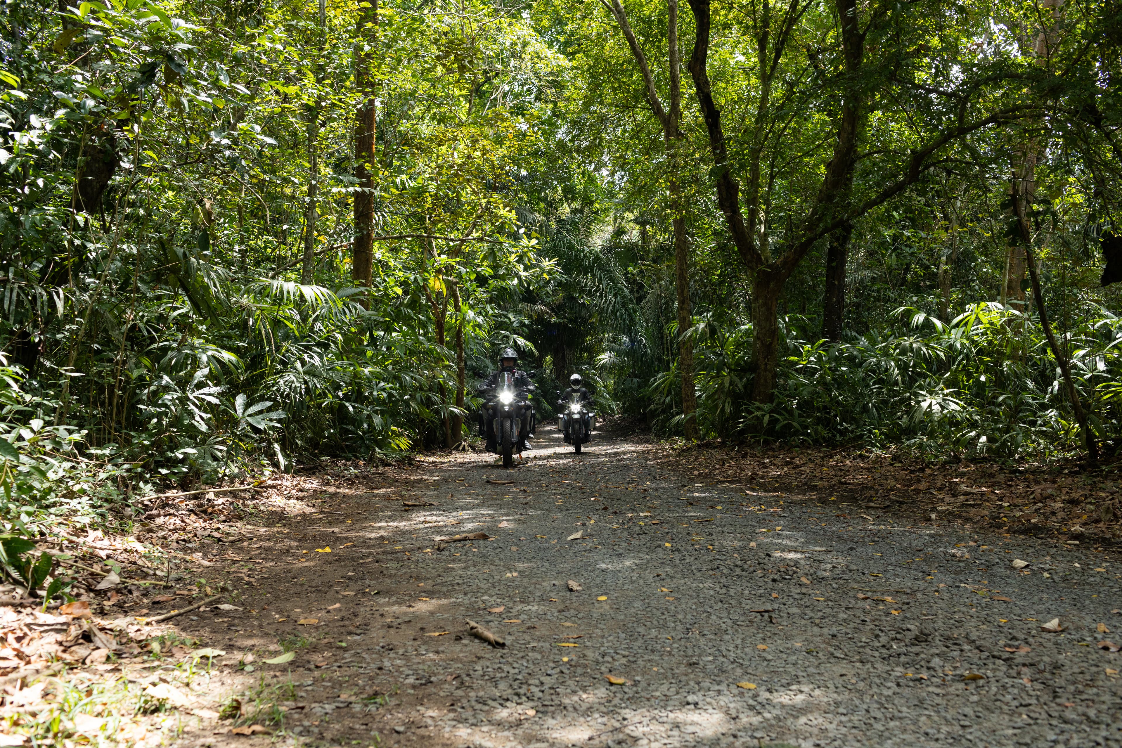 Himalayan 450 Adventure 11