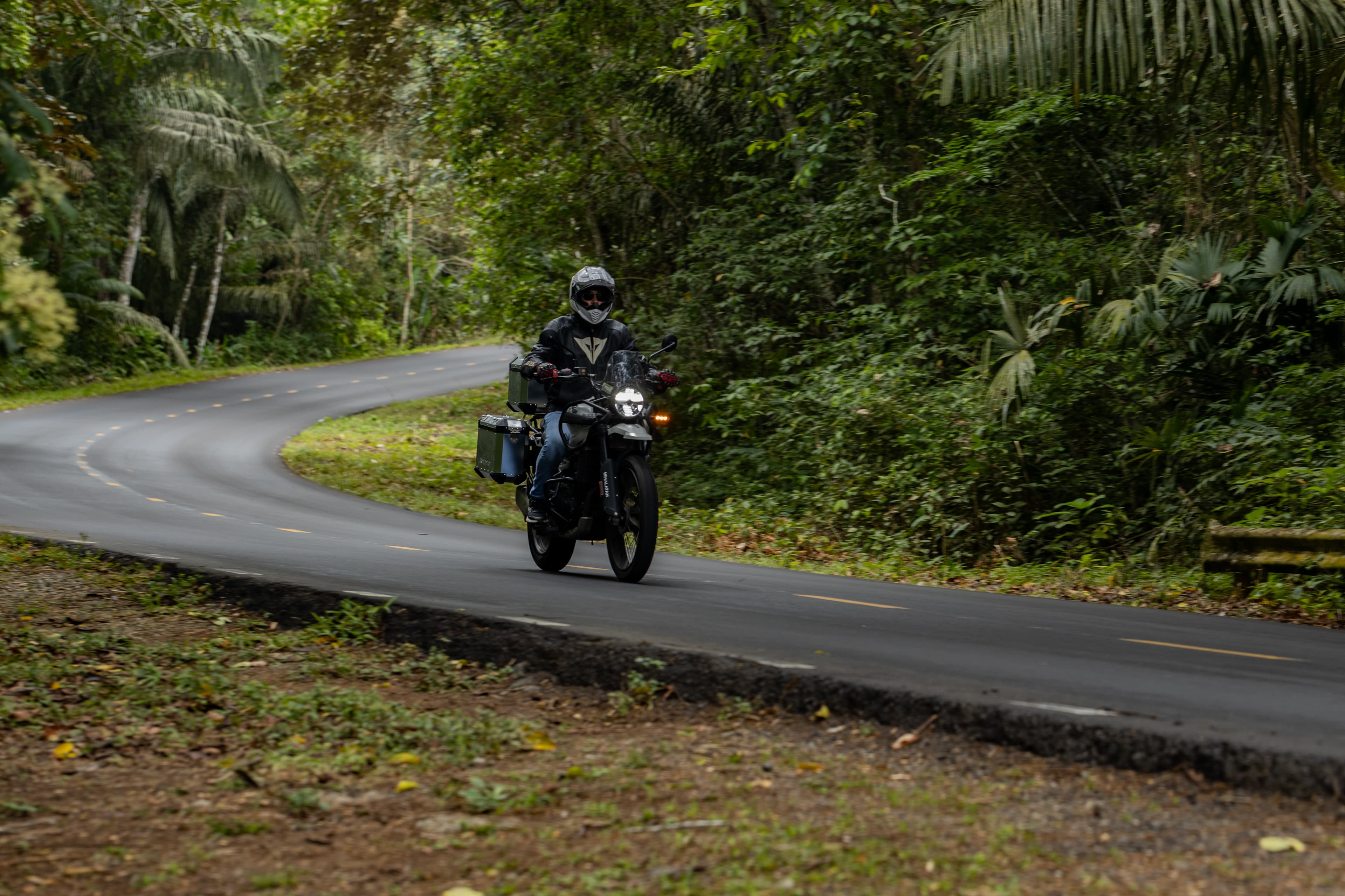 Himalayan 450 Adventure 19