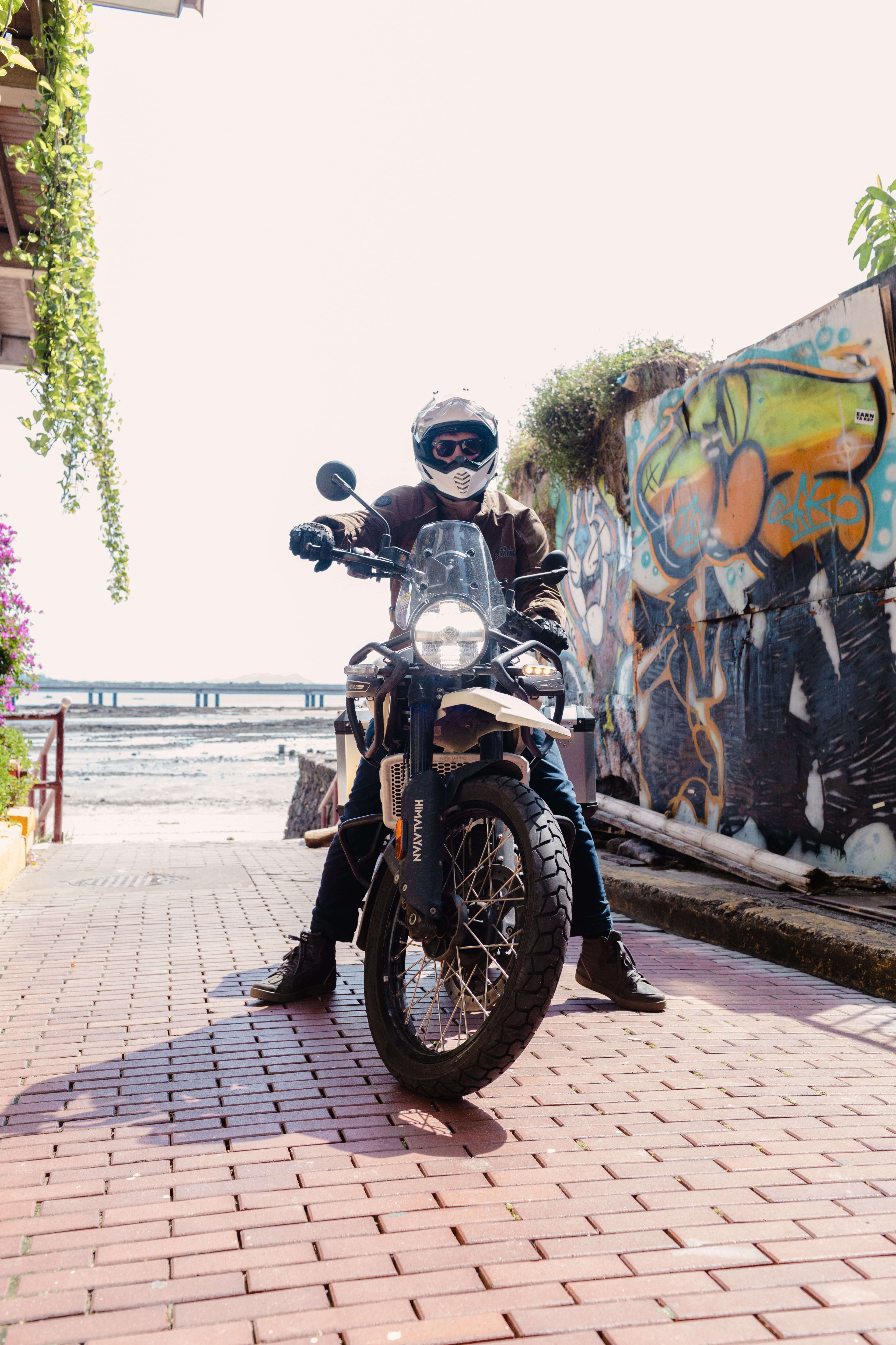 Himalayan 450 Adventure 2