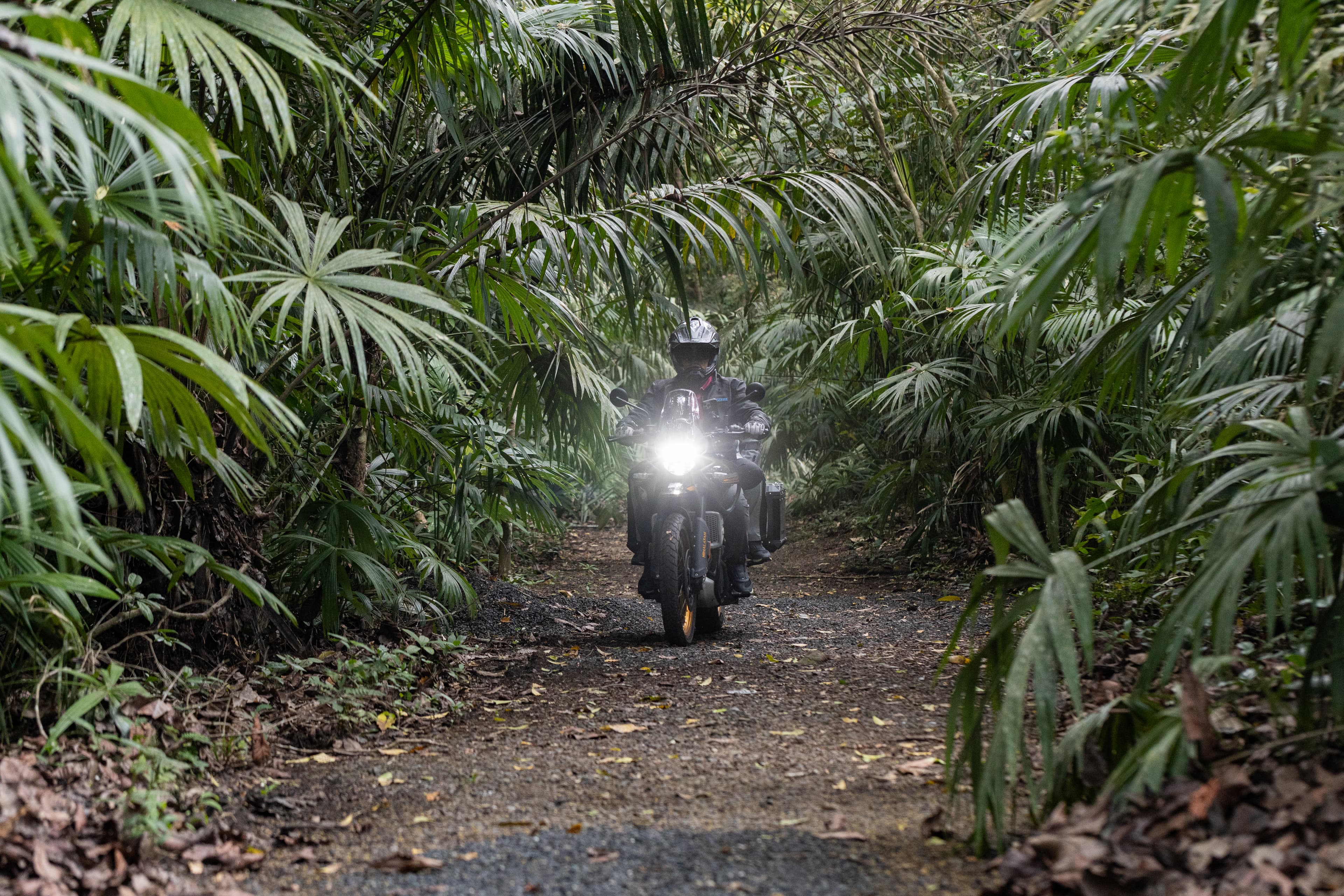 Himalayan 450 Adventure 8